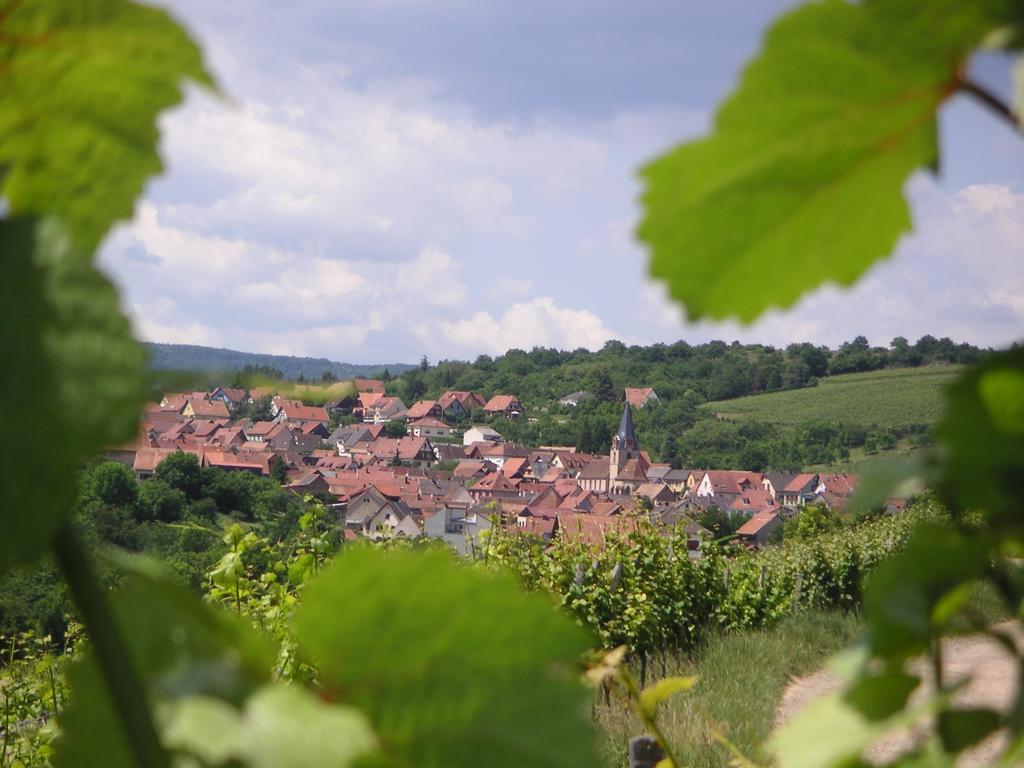 Gite Le Petit Moulin Rosenwiller Exterior foto