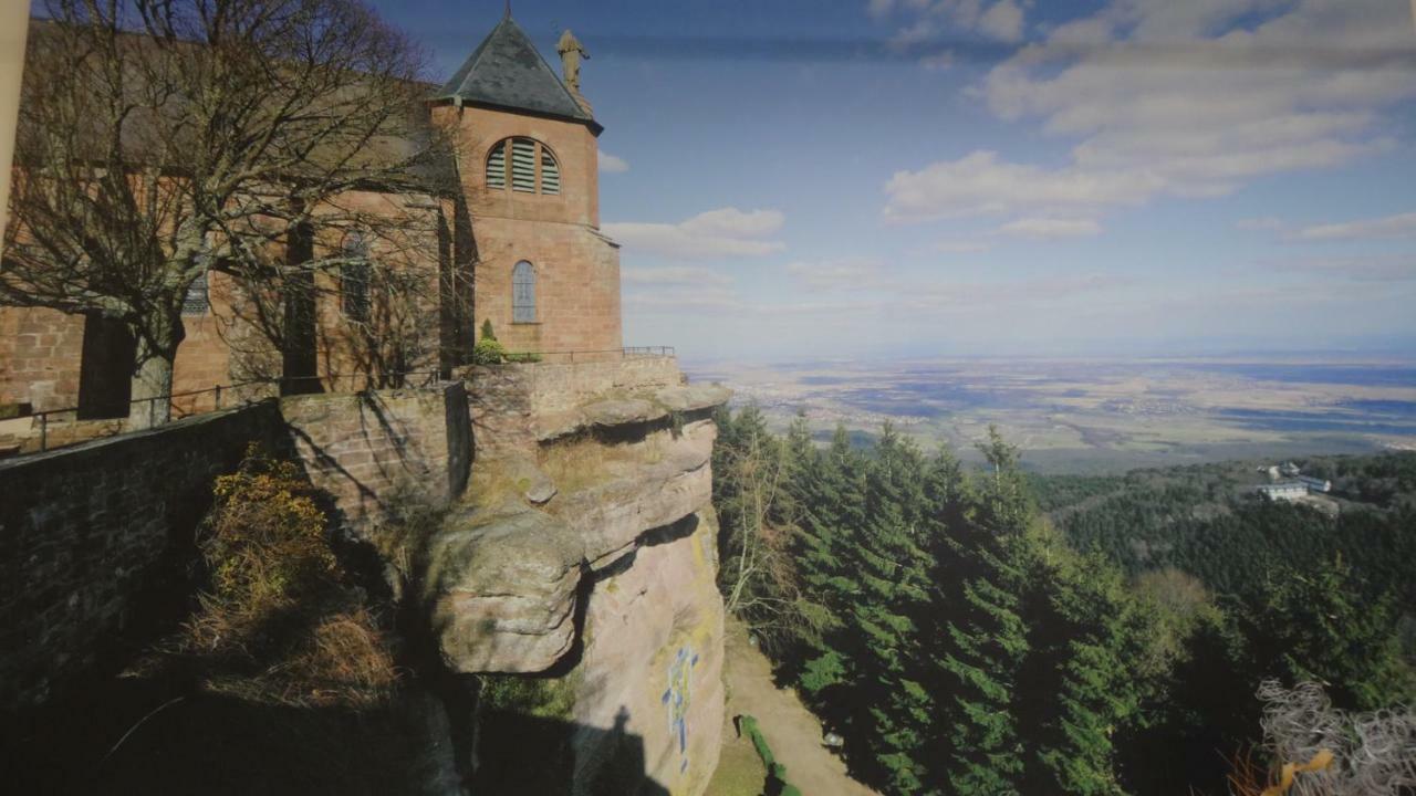 Gite Le Petit Moulin Rosenwiller Exterior foto