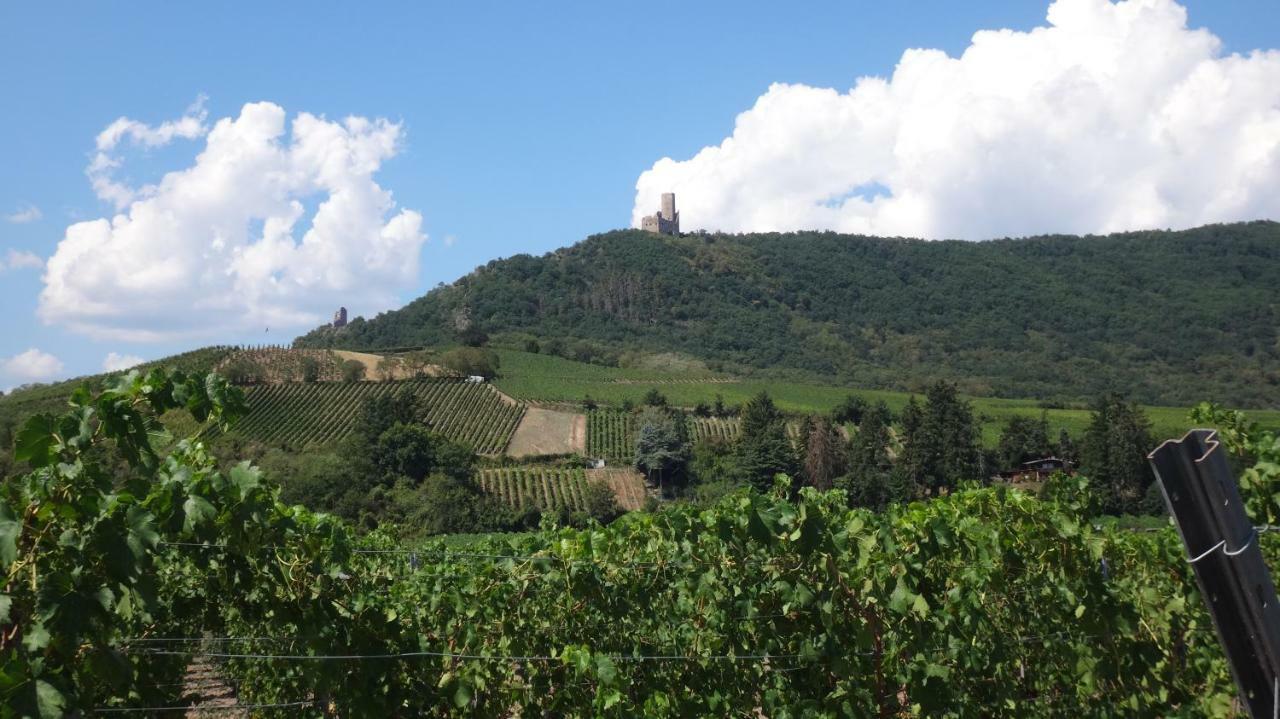 Gite Le Petit Moulin Rosenwiller Exterior foto