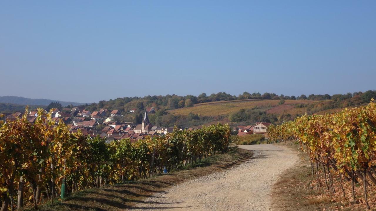 Gite Le Petit Moulin Rosenwiller Exterior foto